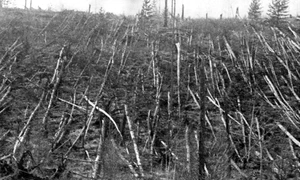 Enigma Tunguska, mai aproape de rezolvare: un nou studiu oferă un indiciu preţios jpeg