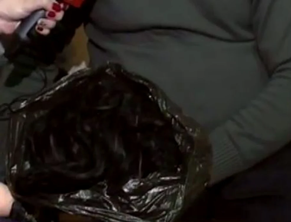 Părul Corinei este ţinut într-o pungă, acasă la părinţii tinerei (captură Acces direct)