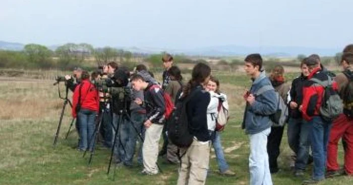 Braşov: Birdwatching în „Delta dintre munţi“