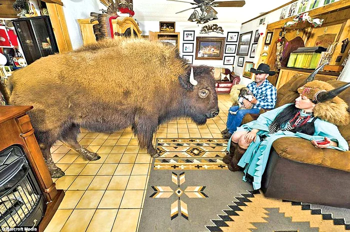 Bivolii Knukle şi Wildthing ascultă orbeşte de stăpânul său