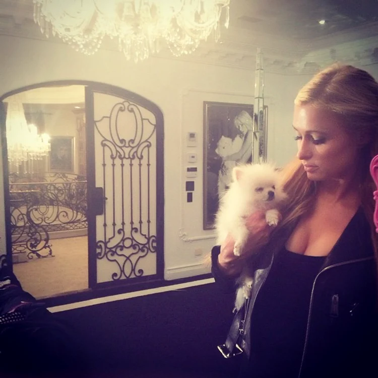 
    Prince HiltonFoto Instagram  