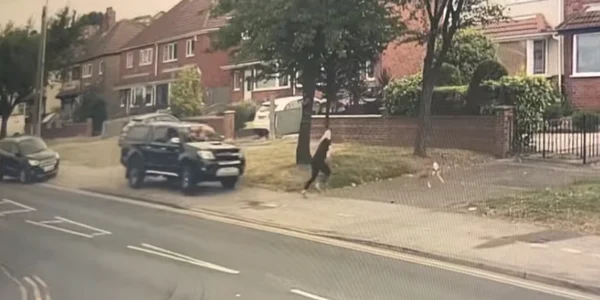 momentul in care un caine isi salveaza stapana foto captura video