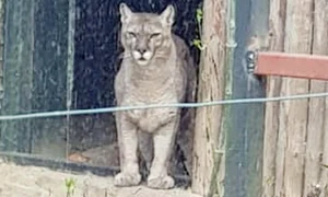 7 actu 1 2col adus in fata jpeg