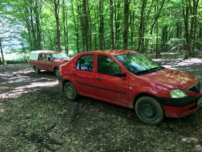 accident vanatoare bihor braconaj foto