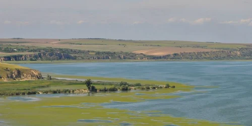 Lacul Oltina judetul Constanta