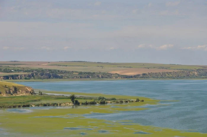 Lacul Oltina FOTO: Călin Gavrilaş