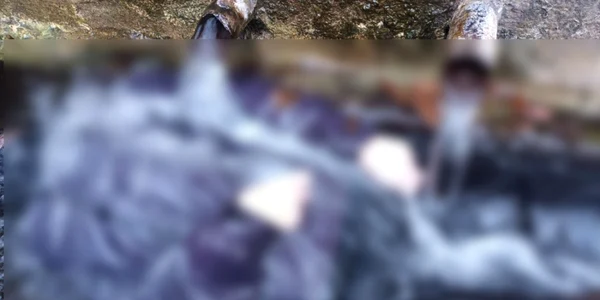 Tânără moartă în Ion Corvin 