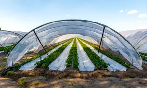 e1e746d7214d8822df1eca3ccbdbc5bca6 jpg