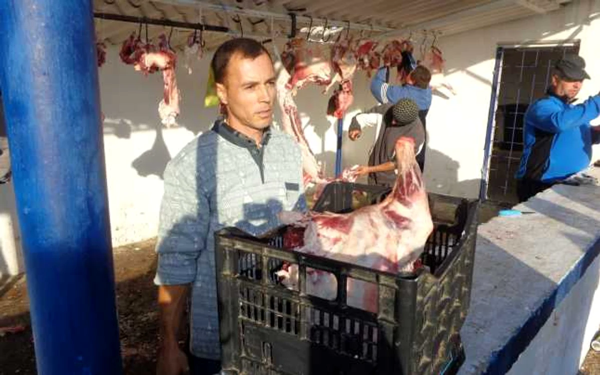 Mieii care să atingă 15 kg în carcasă vor fi puţini în acest an, spun fermierii, de aceea speră la un preţ bun FOTO: Alina Mitran