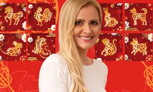 banner Nicoleta Ghiriș   Zodiac chinezesc png