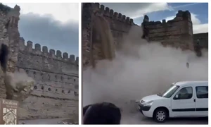 BeFunky collage 2026 03 16T200408 295 jpg