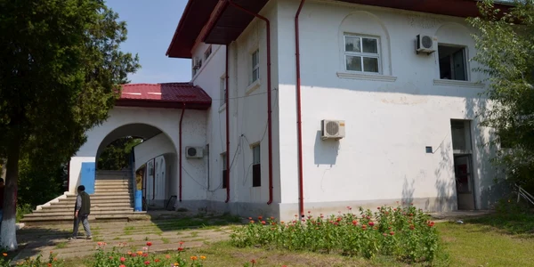 izvoare 5