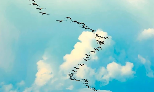 1 47648 original jpg jpeg