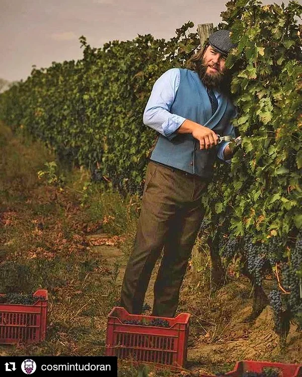 8 cosmin tudoran cassa loco 18 vin jpg jpeg