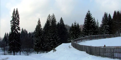 Deocamdată, drumul spre Lepşa nu este acoperit de zăpadă