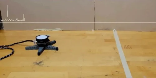 Robot „biohibrid” controlat de o ciupercă Foto Captură video X jpg