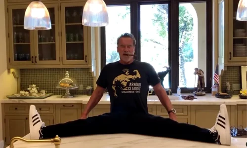 arnold schwarzenegger png