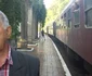 tren deraiat la orşova FOTO Corina Macavei