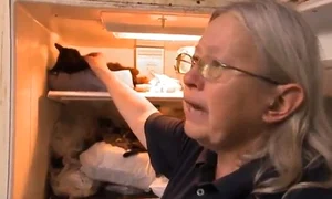 CLIIMA20121206 0034 1 jpeg