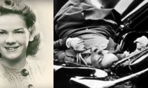 evelyn mchale png