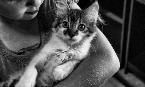 1 copil cu pisica in brate jpg jpeg