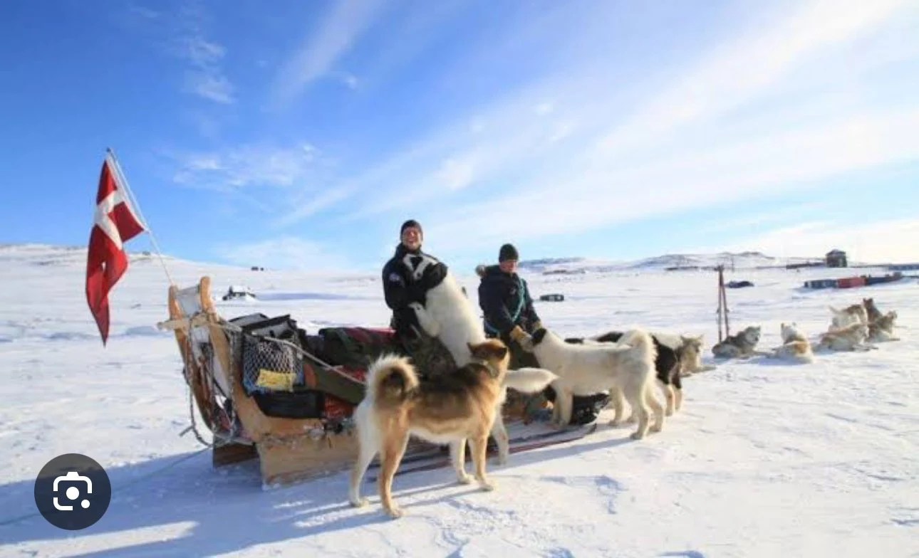 Patrula Sirius: forța discretă a Groenlandei, care supraviețuiește la minus 55 de grade și apără Arctica cu sănii trase de câini