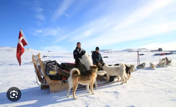 Patrula Sirius: forța discretă a Groenlandei, care supraviețuiește la minus 55 de grade și apără Arctica cu sănii trase de câini