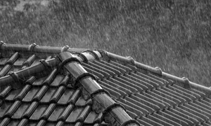 Cei mai taxaţi dintre pămînteni – serial de legi absurde jpeg