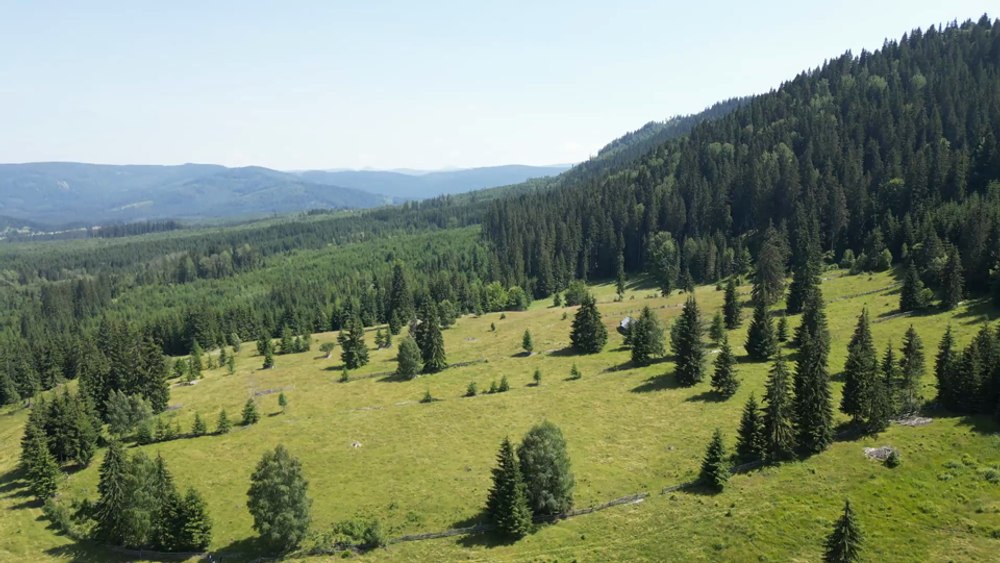 Bilbor & Toplița – colțuri de liniște pentru o vară perfectă