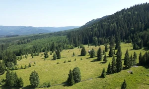 Dji 0001 mp4 thumbnail png