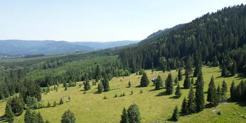 Dji 0001 mp4 thumbnail png