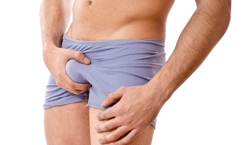 curiozitati despre testicule 0 jpeg