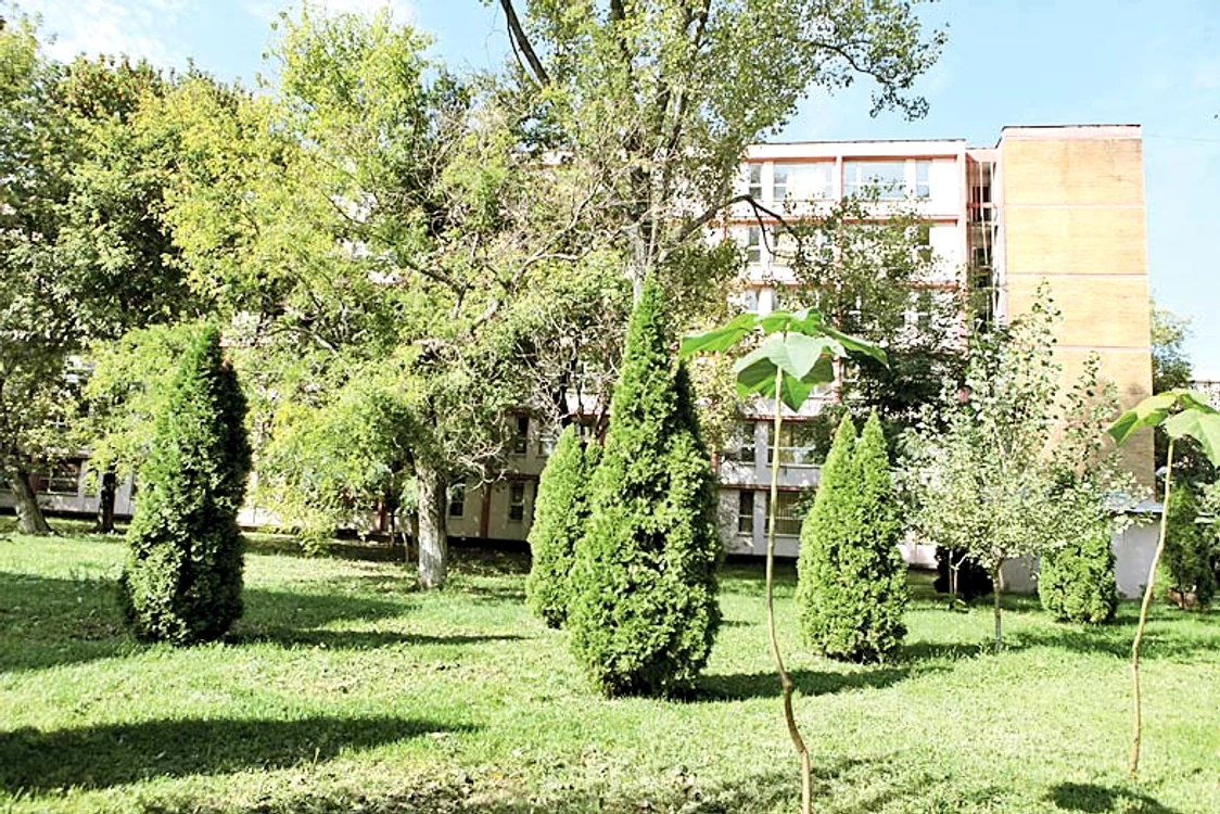 Campusul din Regie  este plin de verdeaţă