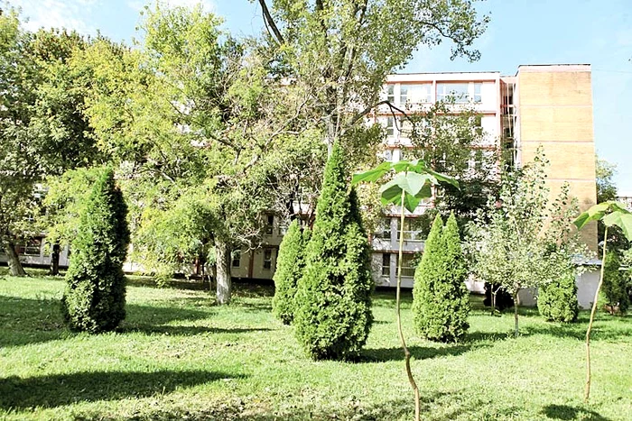 Campusul din Regie este plin de verdeaţă
