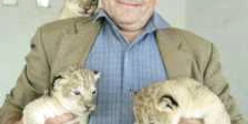 Cei trei pui de leu au captat atenţia şi afecţiunea angajaţilor de la parcul zoologic