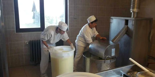 Atelierul în care se face brânza artizanală de Sârbova