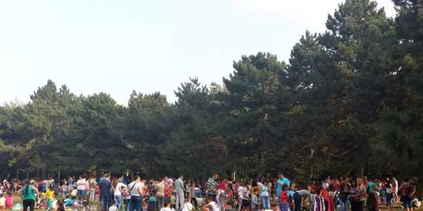 bazarul copiilor foto facebook ploiestiul in culori
