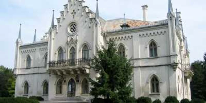 Palatul Cuza din Ruginoasa