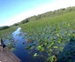 Mahmudia Tulcea Dobrogea Sursa Facebook Mahmudia Delta