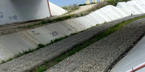 plase furate DEx12   1  foto DRDP Craiova jpg