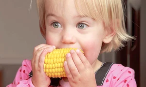 porumb 89541545165151 jpeg