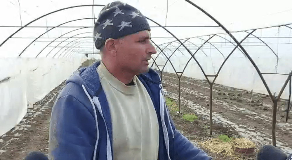 Prăpăd în solariile din Patria Tomatelor. Fermieri: „Să ne apucăm din nou durează două luni. Noi din asta trăim“ VIDEO