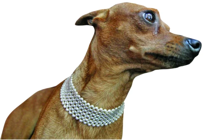 “Doamna” din imagine poartă un colier de perle