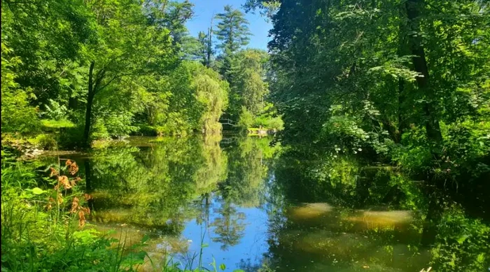 Lacul de pe domeniul Ghika FOTO rendezvouscuflori.ro