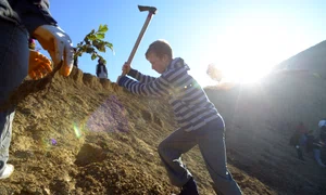 De bunăvoie şi nesilit de nimeni   cu voluntarii la împădurit jpeg