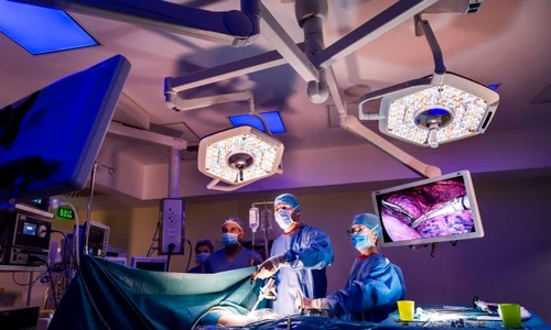 1 sedinta foto ponderas doctor felix 90 1 jpg jpeg