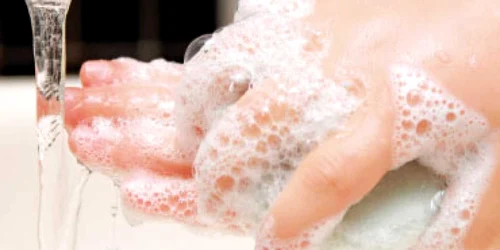 De ce sunt bune bacteriile