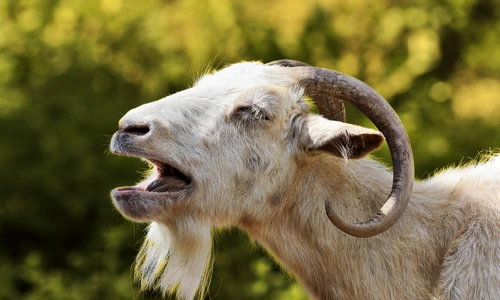 2 shutterstock 1506376544 jpg jpeg