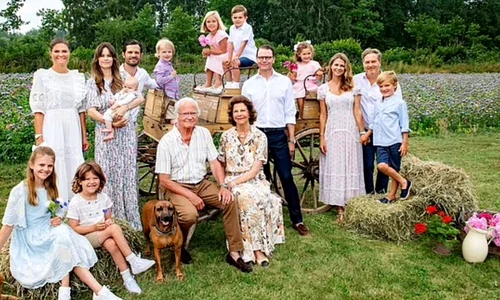 2 casa suedeza jpg jpeg