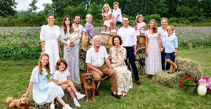 2 casa suedeza jpg jpeg